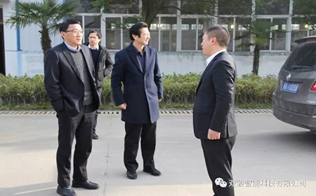 巢湖经开区领导调研走访双骏科技