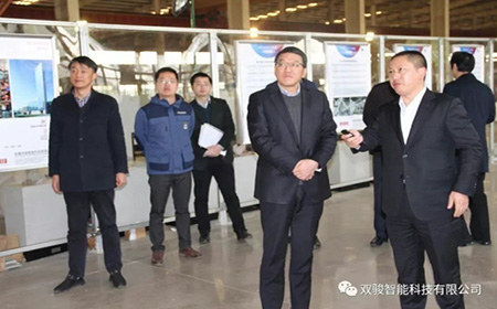 巢湖经开区领导调研走访双骏科技